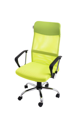 Офисное кресло Calviano Xenos II green