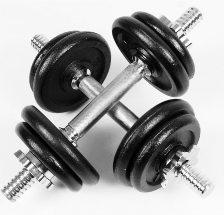 Набор гантели и штанга ATLAS SPORT 48 кг в интернет-магазине 1MAG.by в Минске 